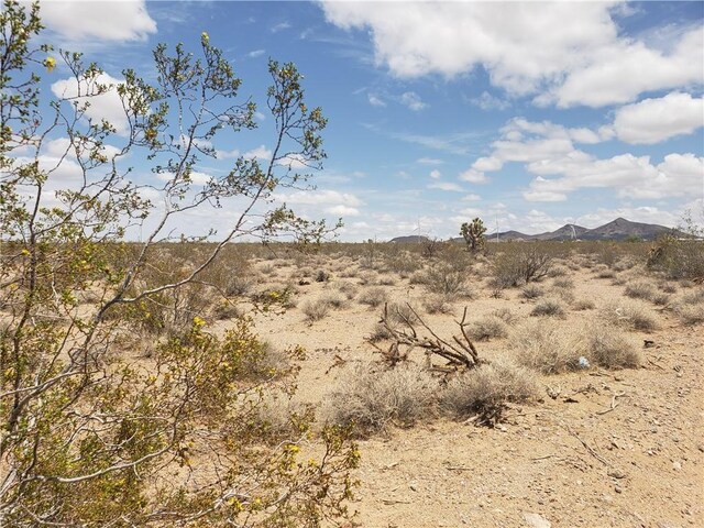11321 W Santa Bella Dr, White Hills, AZ 86445 - photo 8