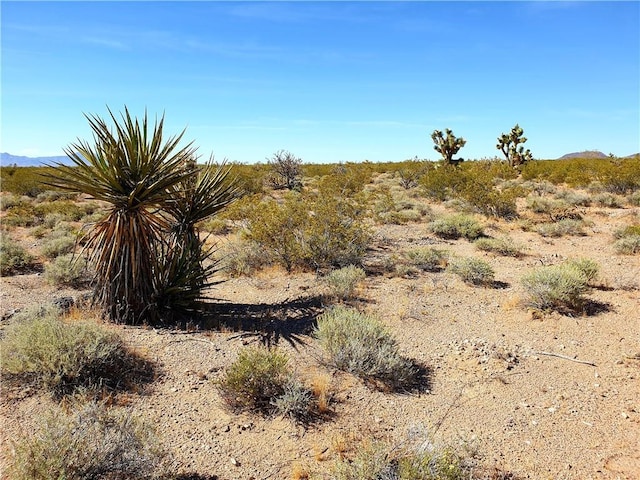 11321 W Santa Bella Dr, White Hills, AZ 86445 - photo 2