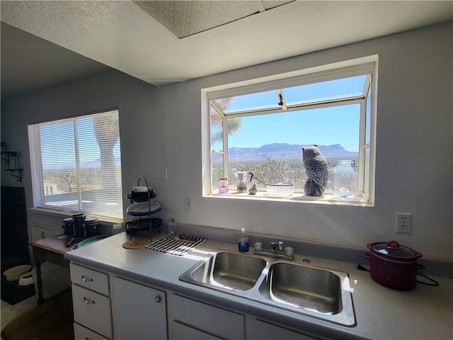 26446 N Tamarisk St, Meadview, AZ 86444 - photo 13