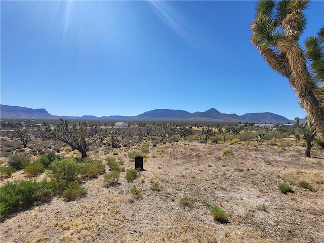 26446 N Tamarisk St, Meadview, AZ 86444 - photo 44