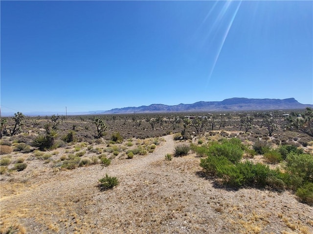 26446 N Tamarisk St, Meadview, AZ 86444 - photo 43
