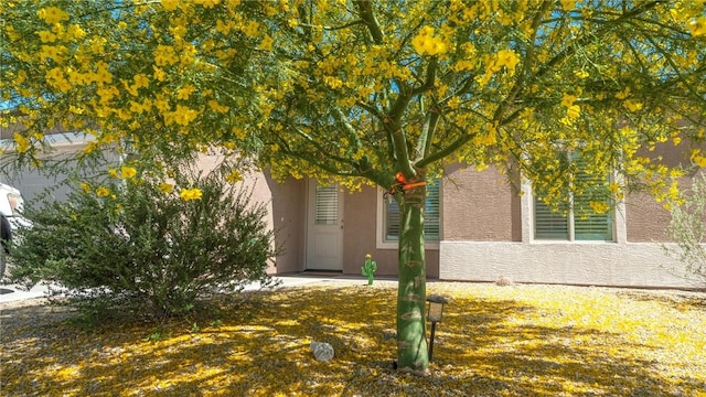 6717 W Nielsen Way, Golden Valley, AZ 86413 - photo 3