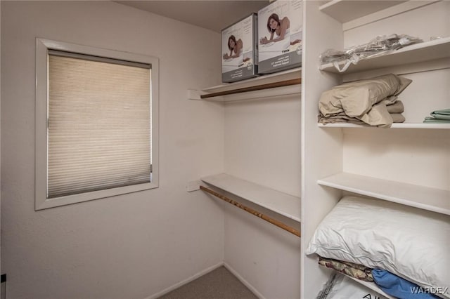 spacious closet with carpet flooring