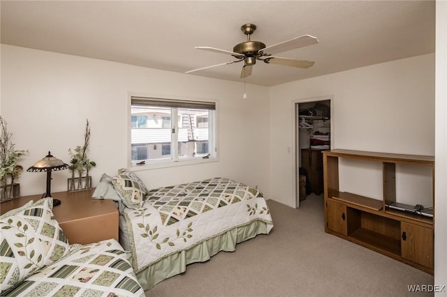 bedroom featuring a spacious closet, a closet, carpet, and a ceiling fan