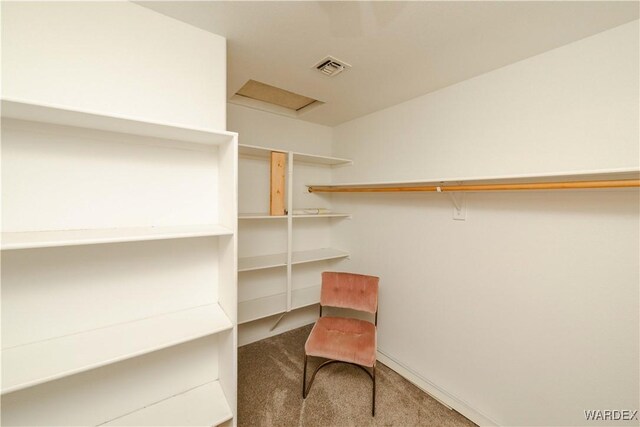 spacious closet featuring carpet, visible vents, and attic access