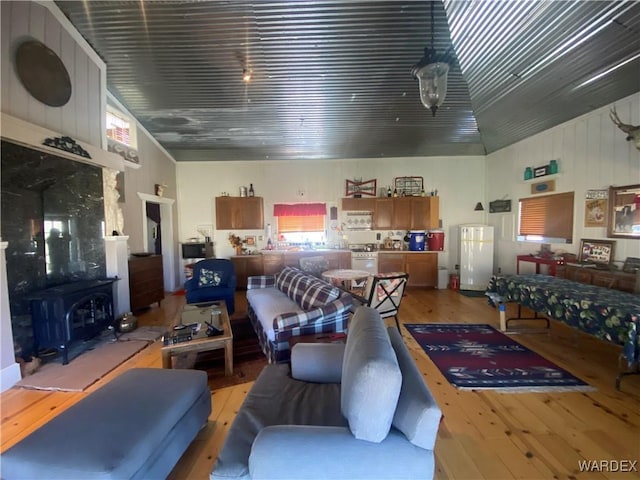 living room featuring a wood stove and light wood-style flooring