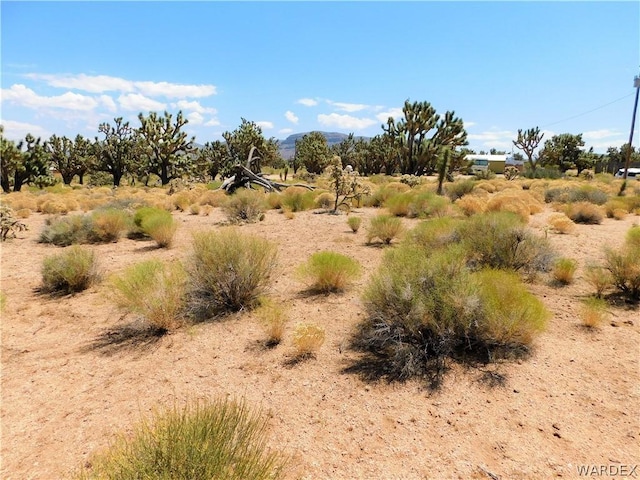 26165 N Pear Ave, Meadview AZ, 86444 land for sale