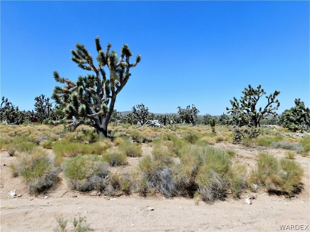 Listing photo 3 for 26165 N Pear Ave, Meadview AZ 86444