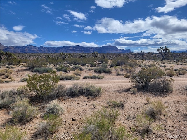 Listing photo 3 for 28305 N Drifting Sands Dr, Meadview AZ 86444