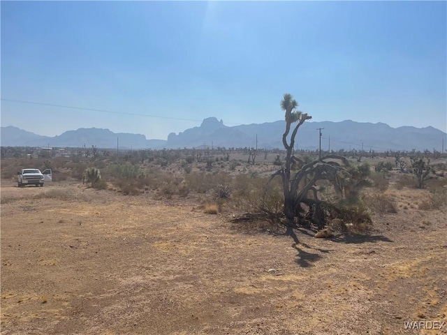 17209 N Lomila Dr, Dolan Springs, AZ 86441 - photo 13
