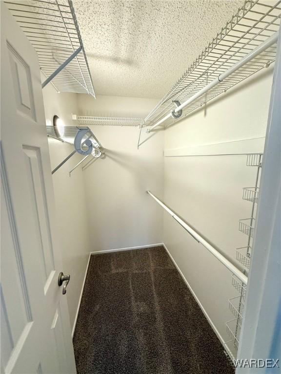 walk in closet with carpet floors