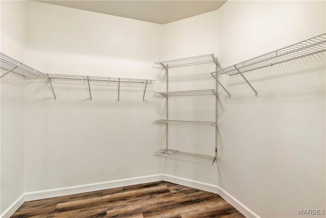 10726 S River Terrace Dr, Mohave Valley, AZ 86440 - walk in closet featuring wood finished floors
