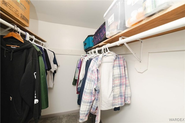 walk in closet featuring carpet flooring