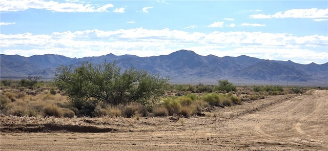 PARCEL32 N Truman Rd, Golden Valley, AZ 86413 - photo 13