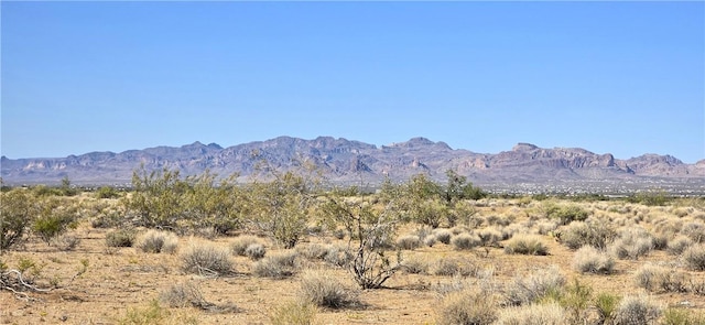 PARCEL32 N Truman Rd, Golden Valley, AZ 86413 - photo 1