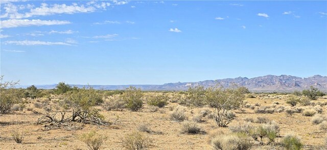 PARCEL32 N Truman Rd, Golden Valley, AZ 86413 - photo 5