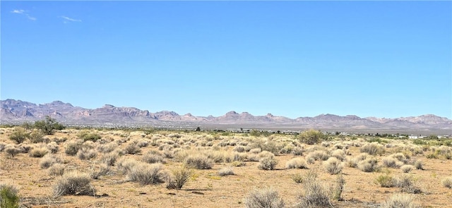 PARCEL32 N Truman Rd, Golden Valley, AZ 86413 - photo 4