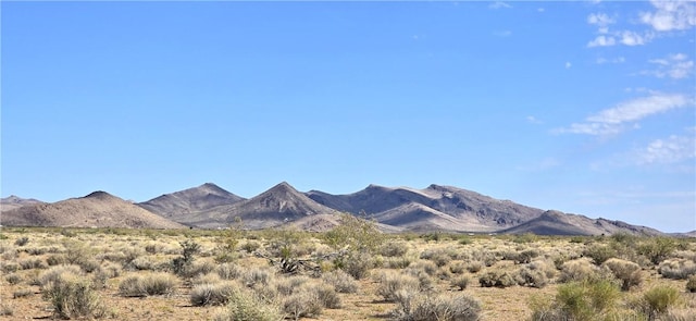 PARCEL32 N Truman Rd, Golden Valley, AZ 86413 - photo 8