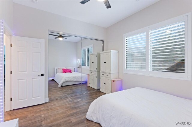 bedroom with a closet, a ceiling fan, and wood finished floors