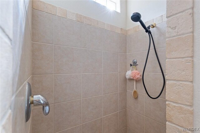 interior details with tiled shower