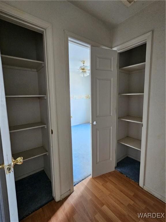 view of closet