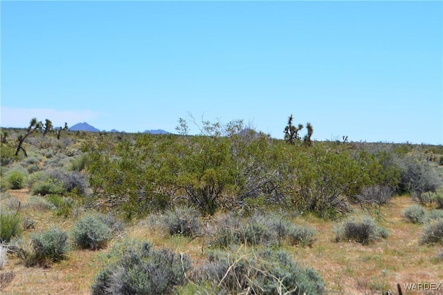 5.5ACRES S Suzette, Yucca, AZ 86438