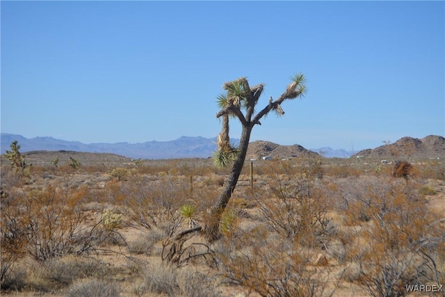 5.5ACRES S Suzette, Yucca, AZ 86438