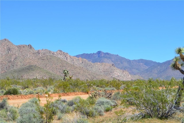 5.5ACRES S Suzette, Yucca, AZ 86438