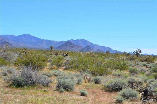 5.5ACRES S Suzette, Yucca, AZ 86438