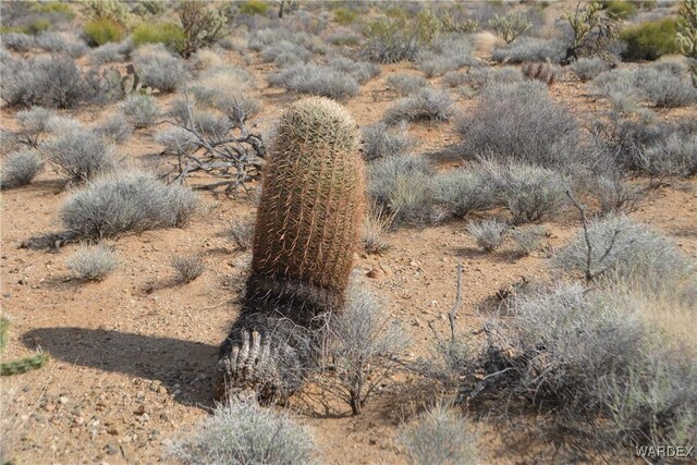 5.5ACRES S Suzette, Yucca, AZ 86438