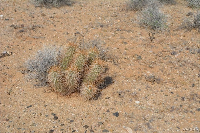 5.5ACRES S Suzette, Yucca, AZ 86438