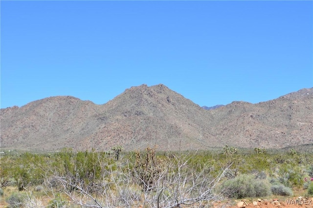 5.5ACRES S Suzette, Yucca, AZ 86438