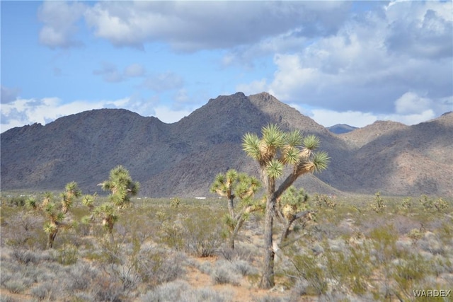 5.5ACRES S Suzette, Yucca, AZ 86438