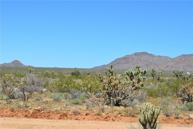 5.5ACRES S Suzette, Yucca, AZ 86438