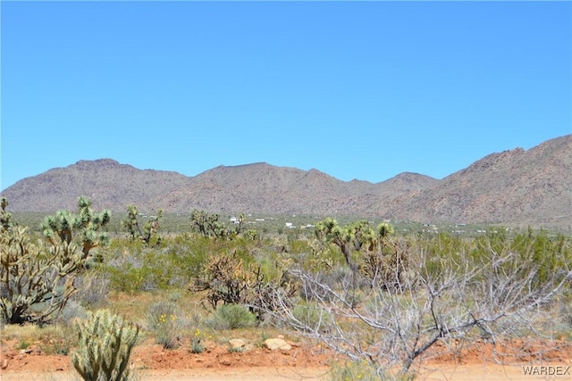 5.5ACRES S Suzette, Yucca, AZ 86438