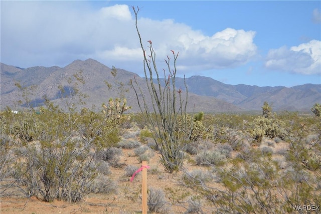 5.5ACRES S Suzette, Yucca, AZ 86438