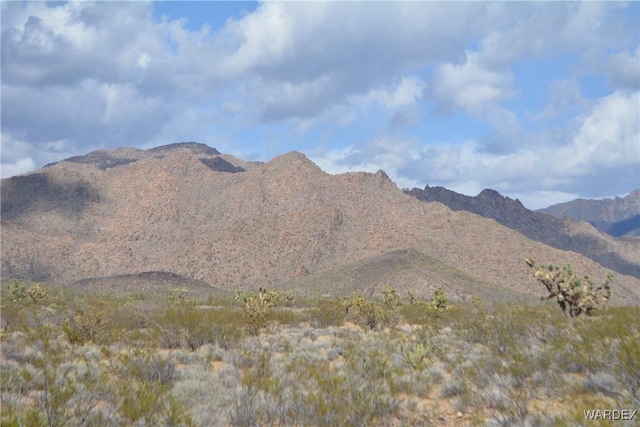 5.5ACRES S Suzette, Yucca, AZ 86438