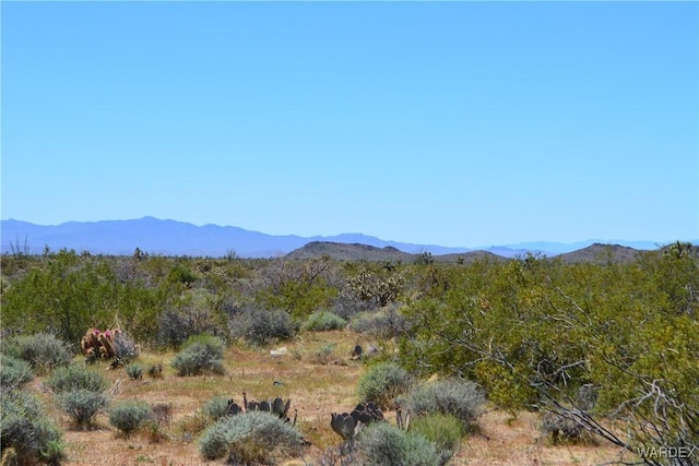 5.5ACRES S Suzette, Yucca, AZ 86438