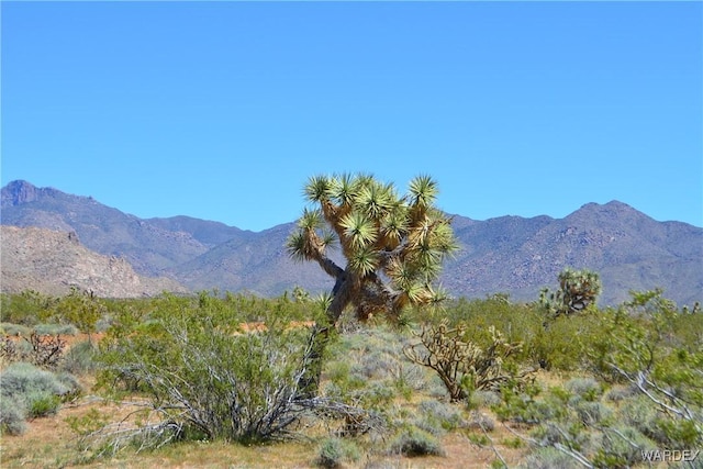 5.5ACRES S Suzette, Yucca, AZ 86438