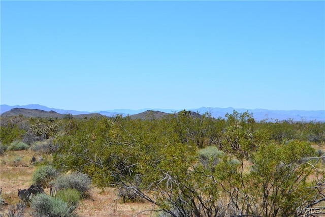 5.5ACRES S Suzette, Yucca, AZ 86438