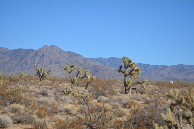 5.5ACRES S Suzette, Yucca, AZ 86438