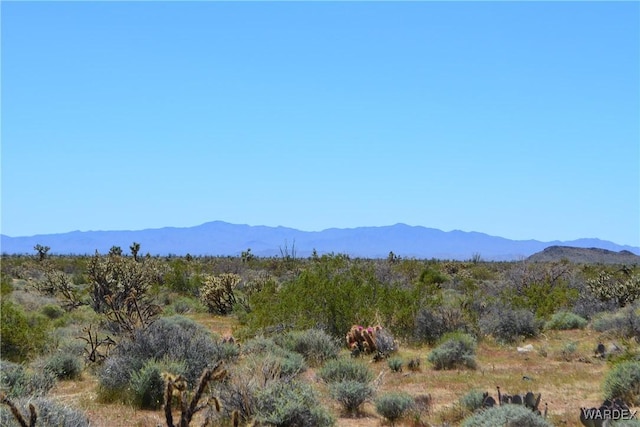 5.5ACRES S Suzette, Yucca, AZ 86438