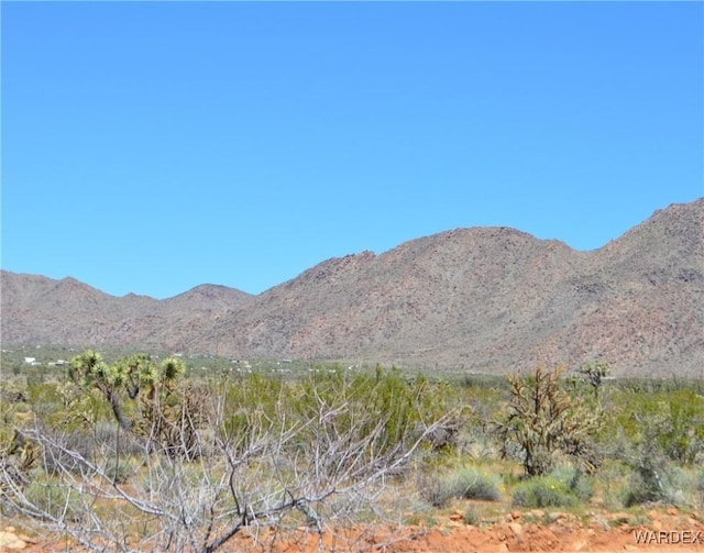 5.5ACRES S Suzette, Yucca, AZ 86438