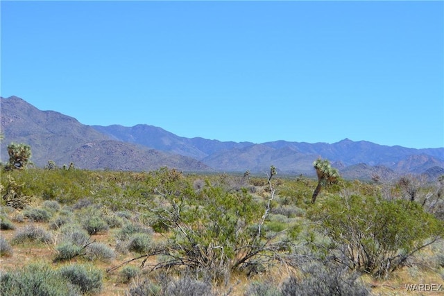 5.5ACRES S Suzette, Yucca, AZ 86438
