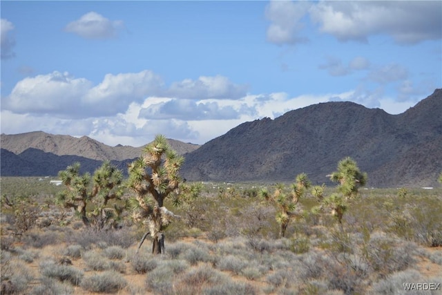 5.5ACRES S Suzette, Yucca, AZ 86438
