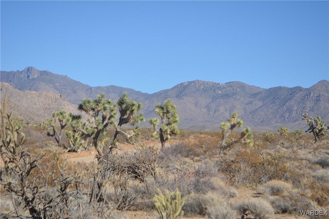 5.5ACRES S Suzette, Yucca, AZ 86438