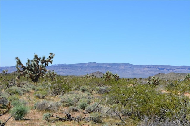5.5ACRES S Suzette, Yucca, AZ 86438