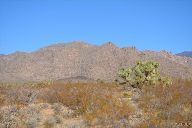 5.5ACRES S Suzette, Yucca, AZ 86438