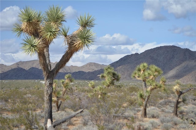 5.5ACRES S Suzette, Yucca, AZ 86438