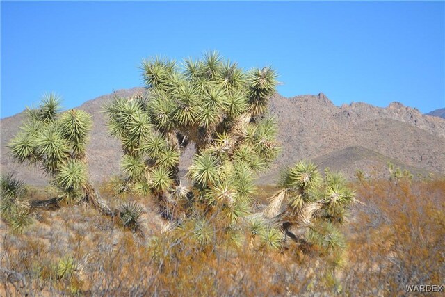 5.5ACRES S Suzette, Yucca, AZ 86438